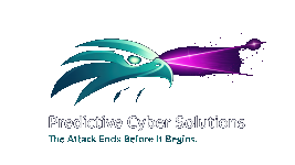 Predictive Cyber Solutions